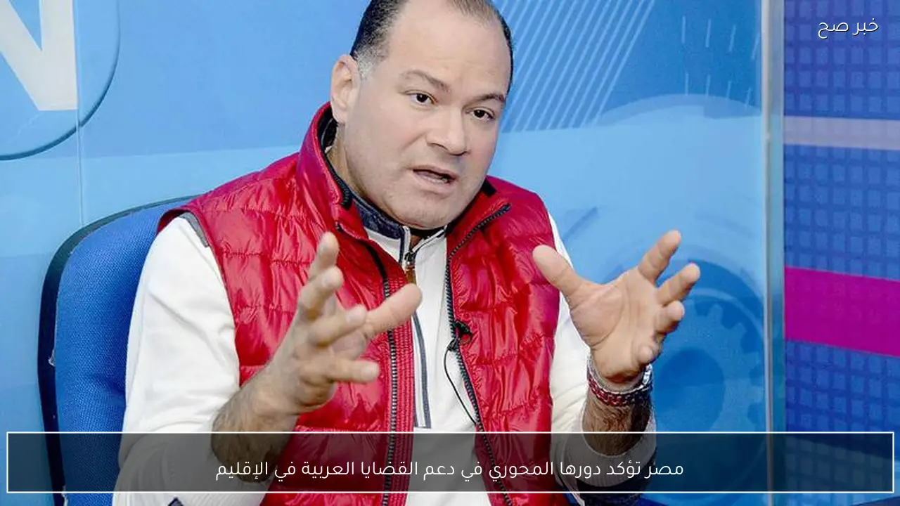 مصر تؤكد دورها المحوري في دعم القضايا العربية في الإقليم