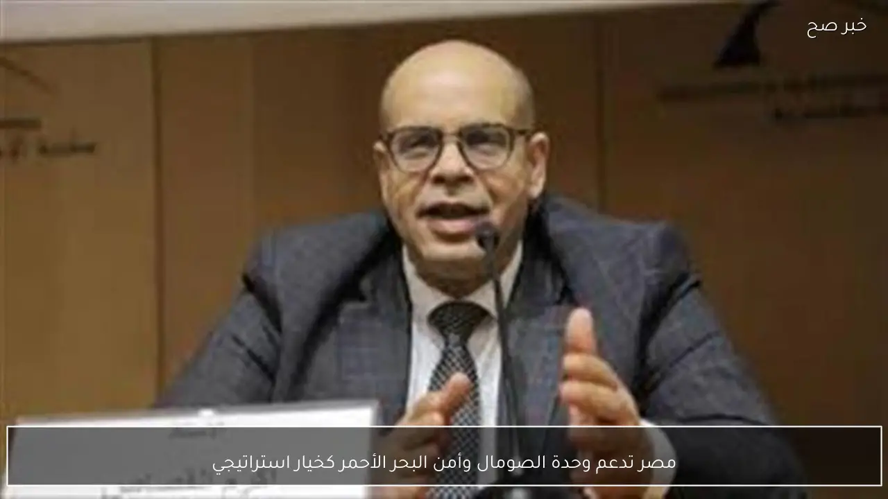 مصر تدعم وحدة الصومال وأمن البحر الأحمر كخيار استراتيجي