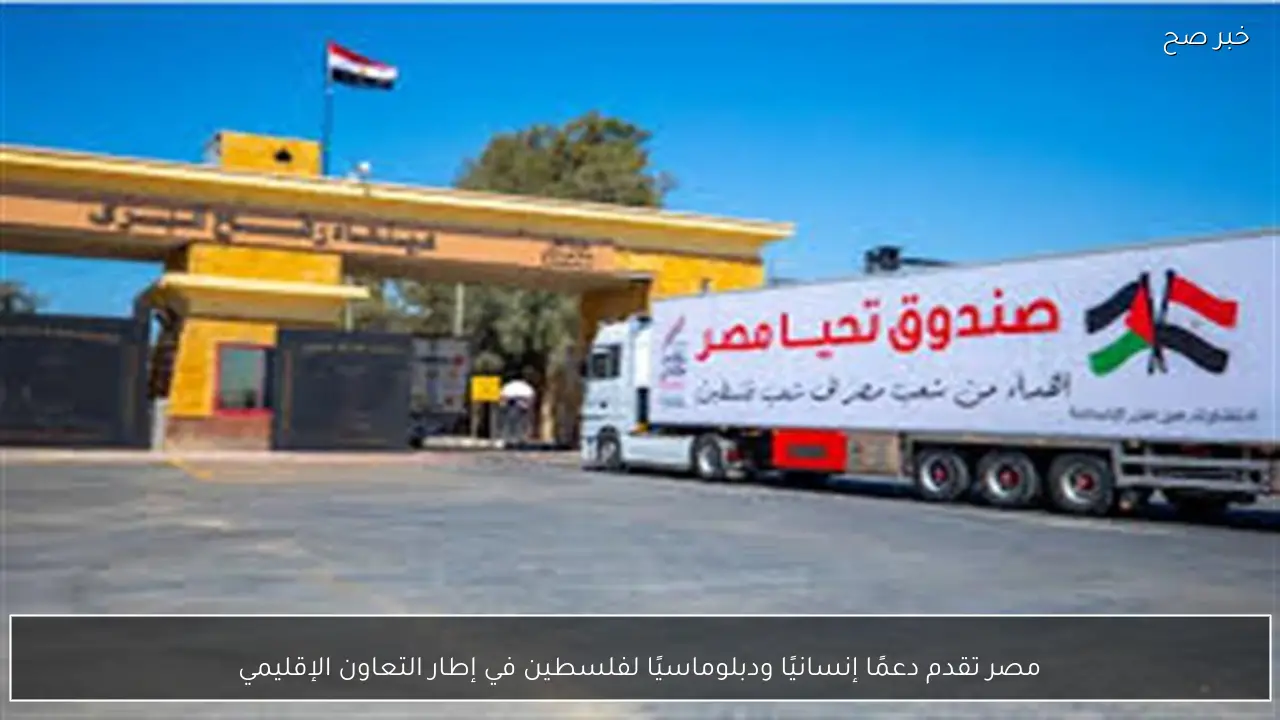 مصر تقدم دعمًا إنسانيًا ودبلوماسيًا لفلسطين في إطار التعاون الإقليمي