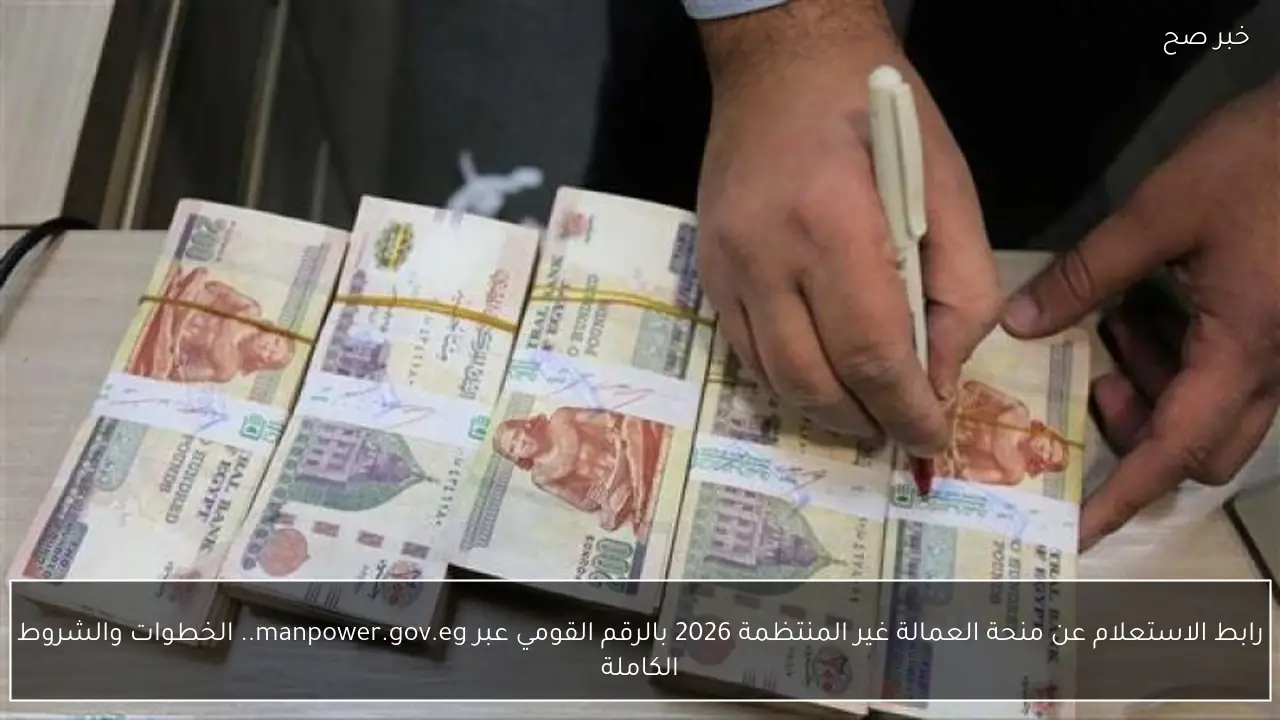 رابط الاستعلام عن منحة العمالة غير المنتظمة 2026 بالرقم القومي عبر manpower.gov.eg.. الخطوات والشروط الكاملة