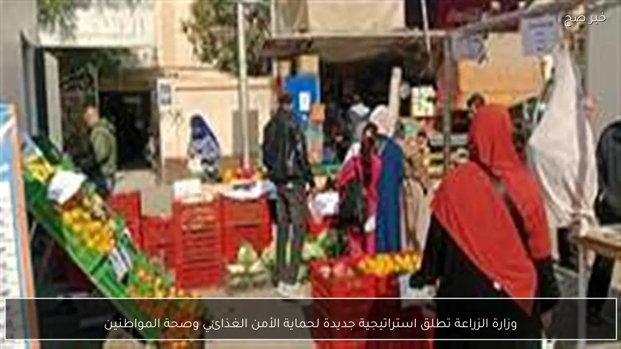 وزارة الزراعة تطلق استراتيجية جديدة لحماية الأمن الغذائي وصحة المواطنين