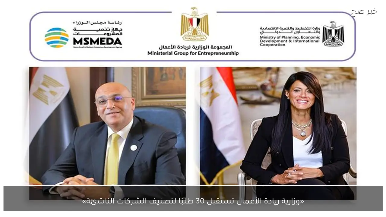 «وزارية ريادة الأعمال تستقبل 30 طلبًا لتصنيف الشركات الناشئة»