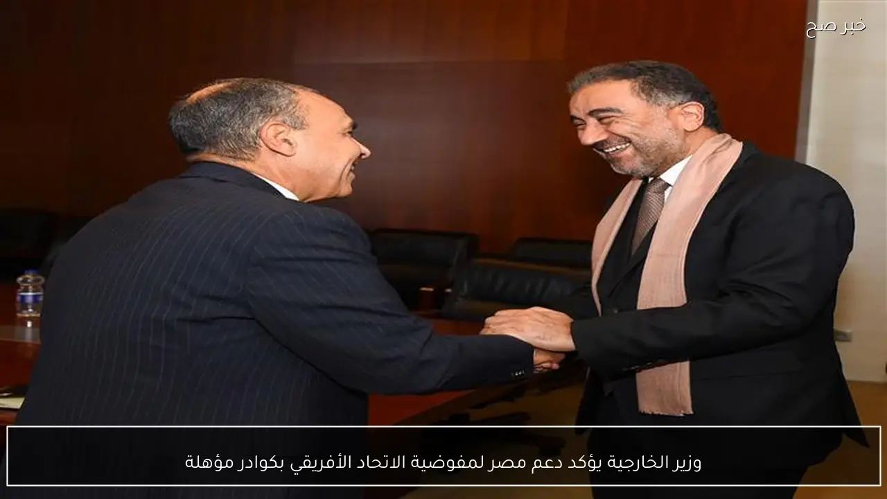 وزير الخارجية يؤكد دعم مصر لمفوضية الاتحاد الأفريقي بكوادر مؤهلة