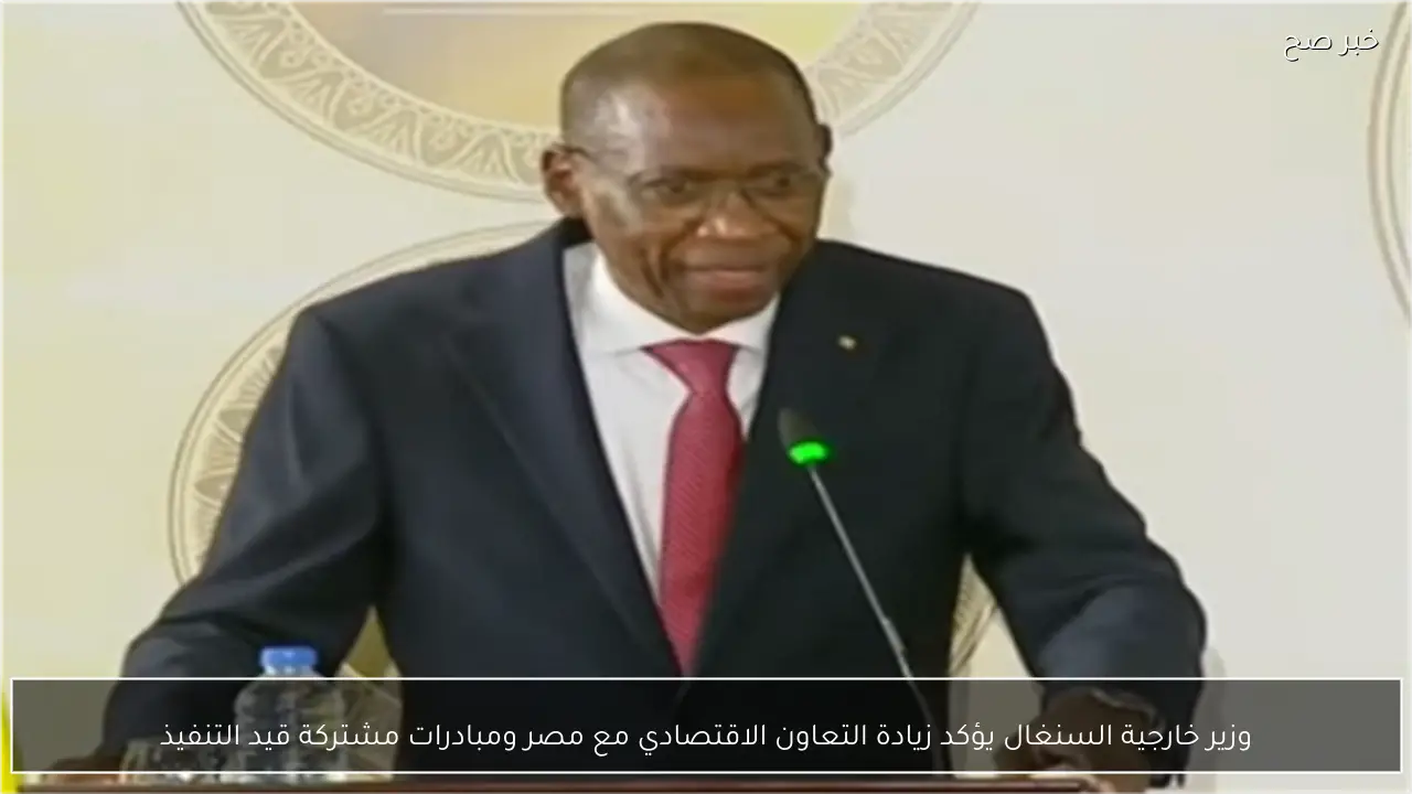 وزير خارجية السنغال يؤكد زيادة التعاون الاقتصادي مع مصر ومبادرات مشتركة قيد التنفيذ