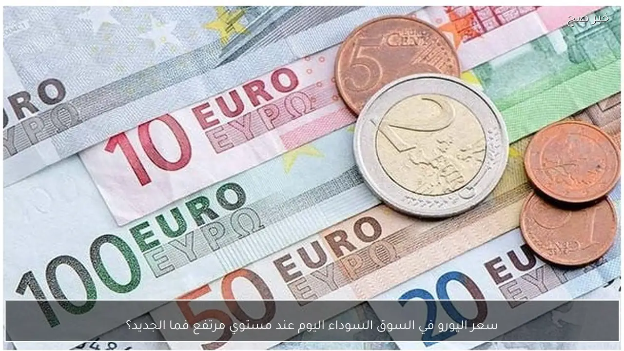 سعر اليورو في السوق السوداء اليوم عند مستوي مرتفع فما الجديد؟