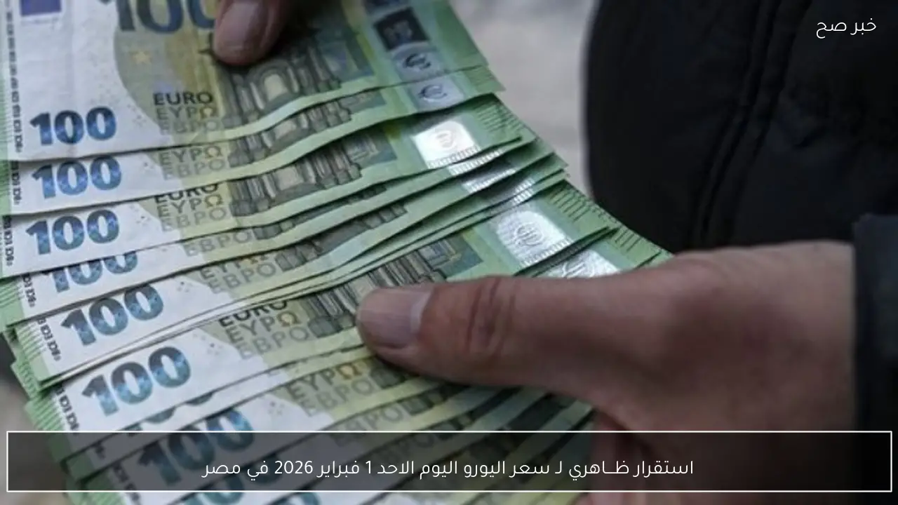 استقرار ظـــاهري لـ سعر اليورو اليوم الاحد 1 فبراير 2026 في مصر