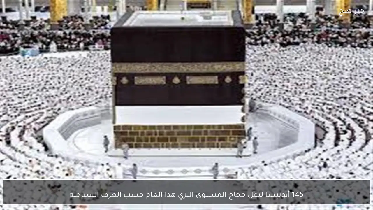 145 أتوبيسا لنقل حجاج المستوى البري هذا العام حسب الغرف السياحية