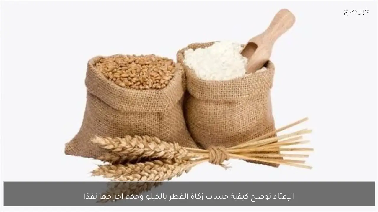 الإفتاء توضح كيفية حساب زكاة الفطر بالكيلو وحكم إخراجها نقدًا