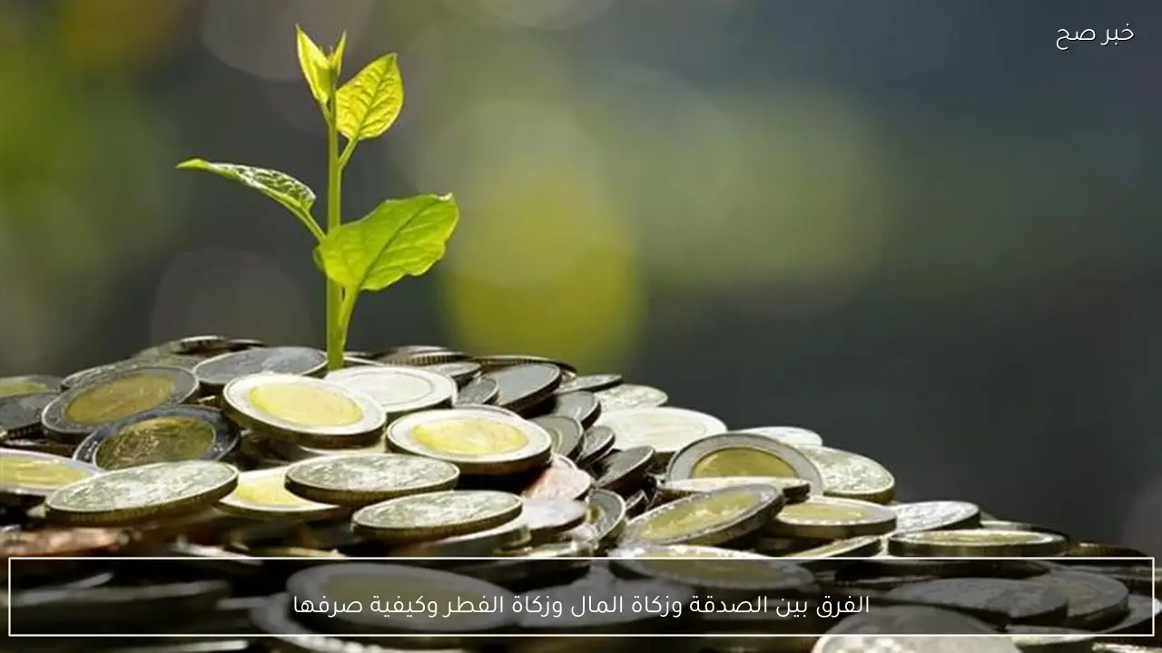 الفرق بين الصدقة وزكاة المال وزكاة الفطر وكيفية صرفها