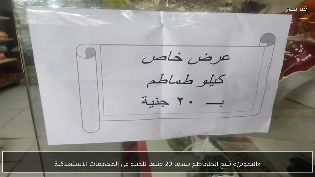 «التموين» تبيع الطماطم بسعر 20 جنيها للكيلو في المجمعات الاستهلاكية