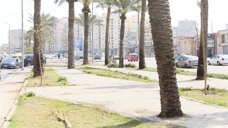 جولة وزيرة التنمية المحلية 