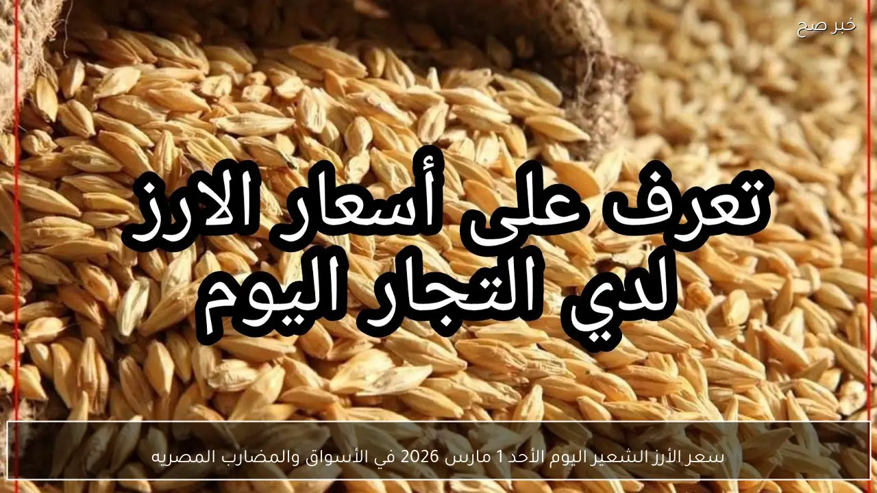 (عريض، رفيع) سعر الأرز الشعير اليوم الأحد 1 مارس 2026 في الأسواق والمضارب المصرية