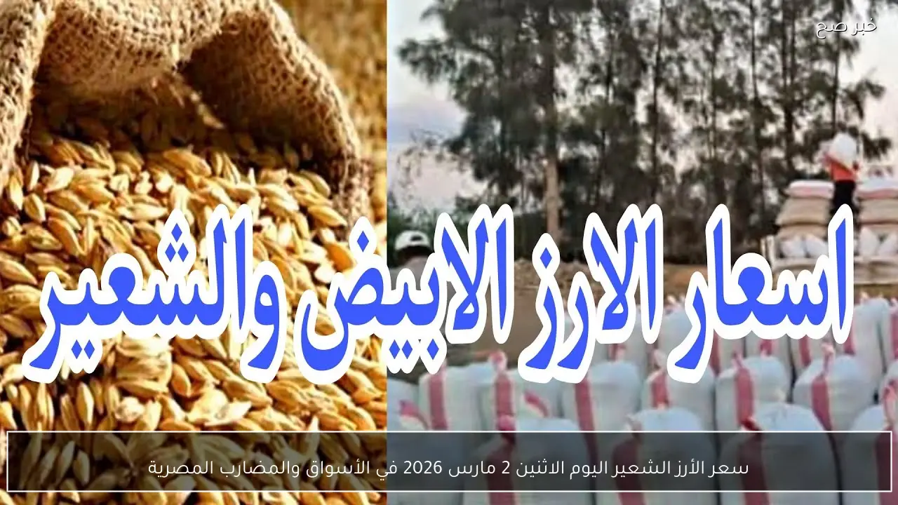 (عريض، رفيع) ‏سعر الأرز الشعير اليوم الاثنين 2 مارس 2026 في الأسواق والمضارب المصرية