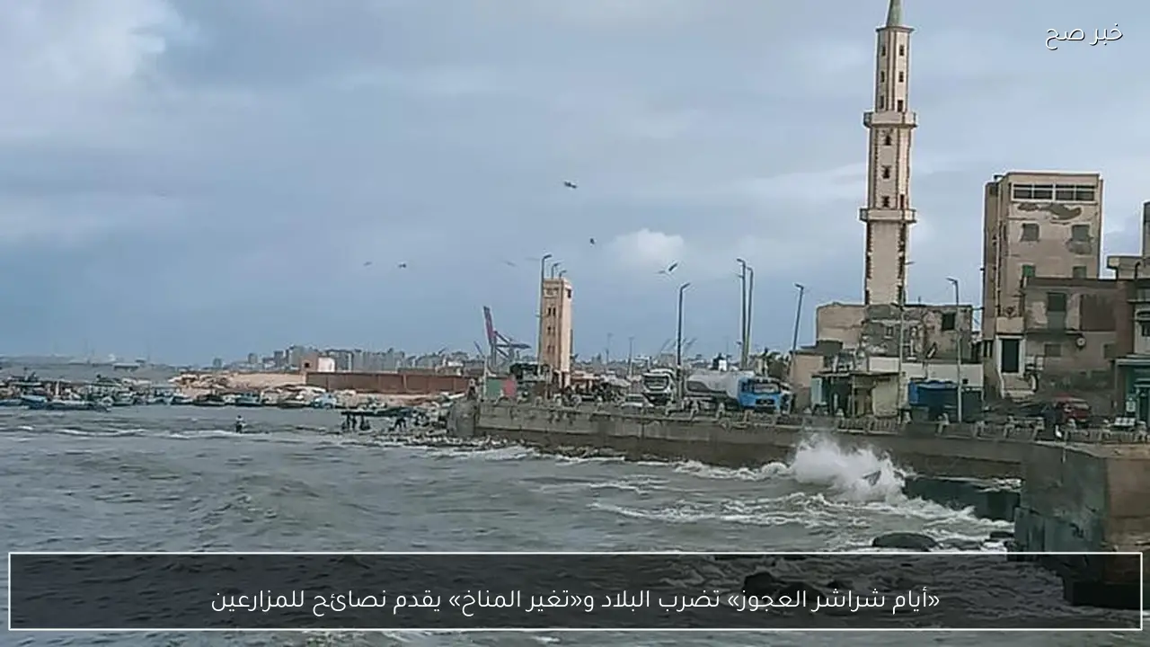 «أيام شراشر العجوز» تضرب البلاد و«تغير المناخ» يقدم نصائح للمزارعين