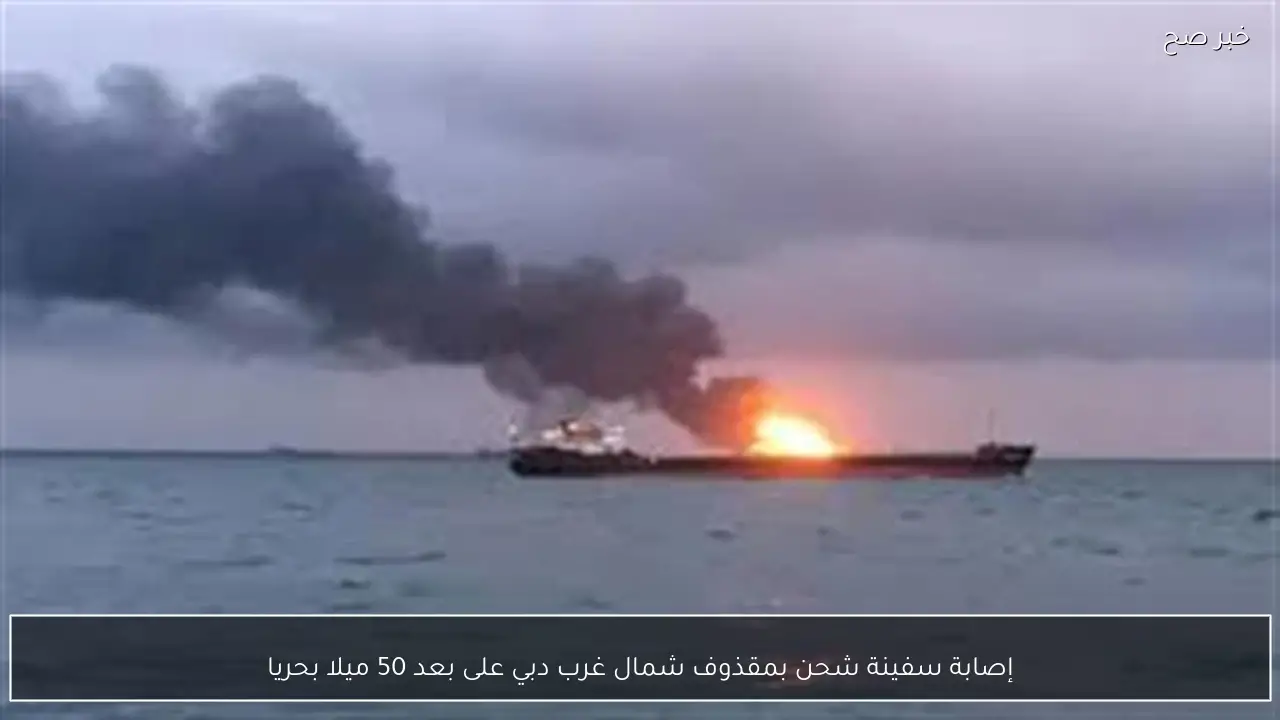 إصابة سفينة شحن بمقذوف شمال غرب دبي على بعد 50 ميلا بحريا