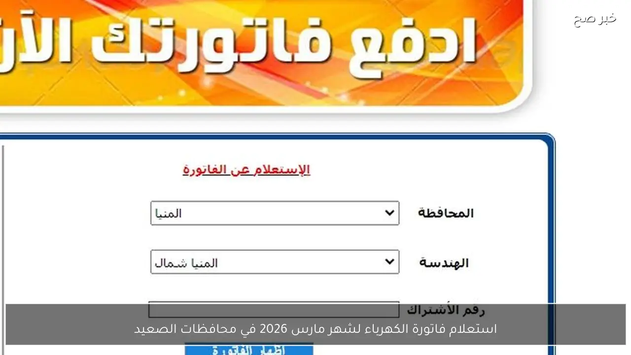 استعلام فاتورة الكهرباء لشهر مارس 2026 في محافظات الصعيد