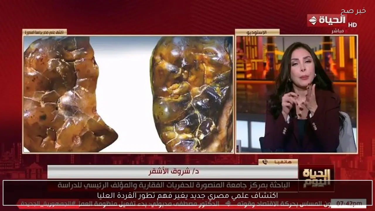 اكتشاف علمي مصري جديد يغير فهم تطور القردة العليا