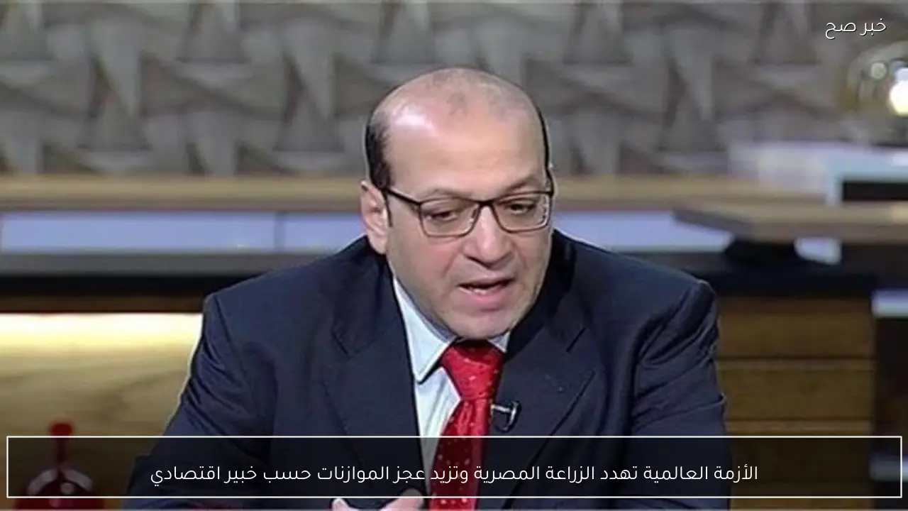 الأزمة العالمية تهدد الزراعة المصرية وتزيد عجز الموازنات حسب خبير اقتصادي