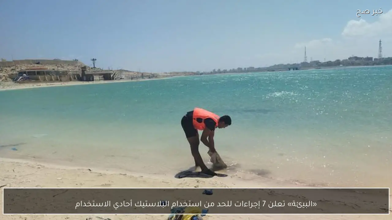 «البيئة» تعلن 7 إجراءات للحد من استخدام البلاستيك أحادي الاستخدام