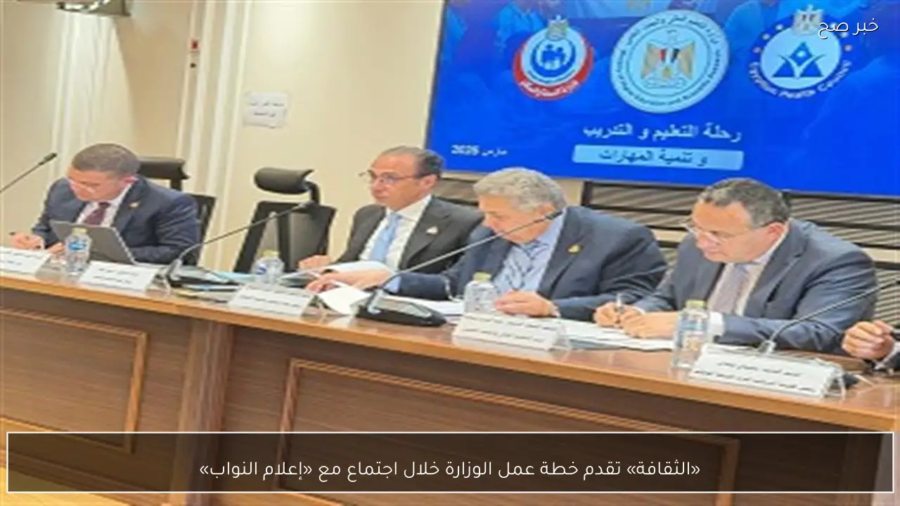 «الثقافة» تقدم خطة عمل الوزارة خلال اجتماع مع «إعلام النواب»