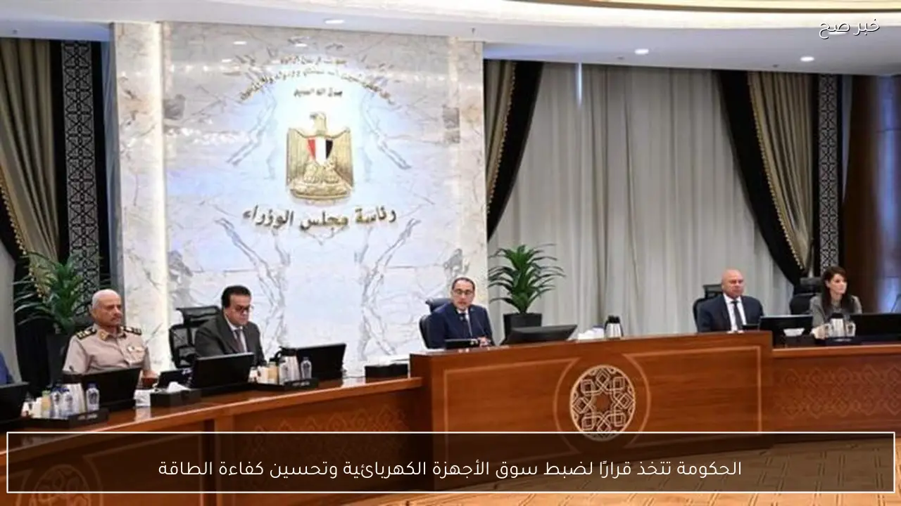 الحكومة تتخذ قرارًا لضبط سوق الأجهزة الكهربائية وتحسين كفاءة الطاقة