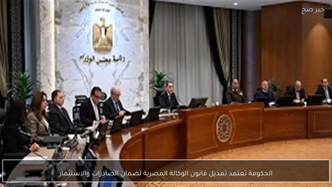 الحكومة تعتمد تعديل قانون الوكالة المصرية لضمان الصادرات والاستثمار