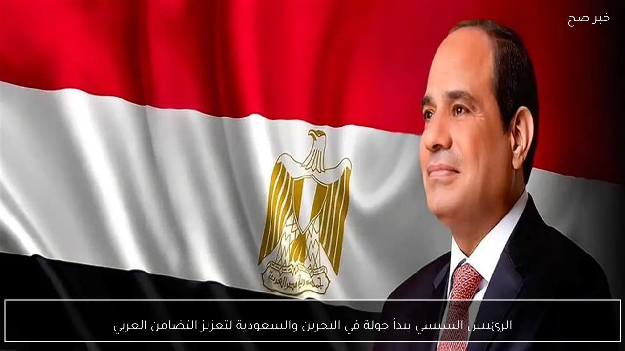 الرئيس السيسي يبدأ جولة في البحرين والسعودية لتعزيز التضامن العربي