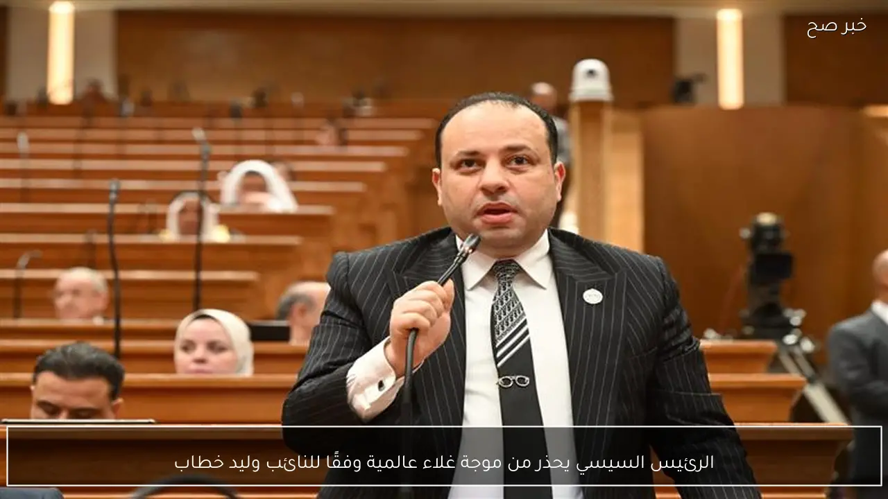 الرئيس السيسي يحذر من موجة غلاء عالمية وفقًا للنائب وليد خطاب