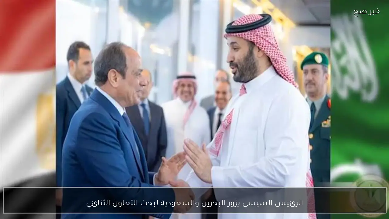 الرئيس السيسي يزور البحرين والسعودية لبحث التعاون الثنائي