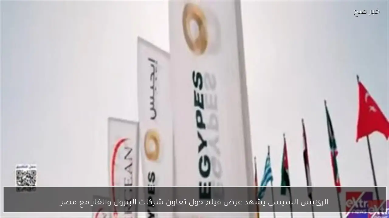 الرئيس السيسي يشهد عرض فيلم حول تعاون شركات البترول والغاز مع مصر