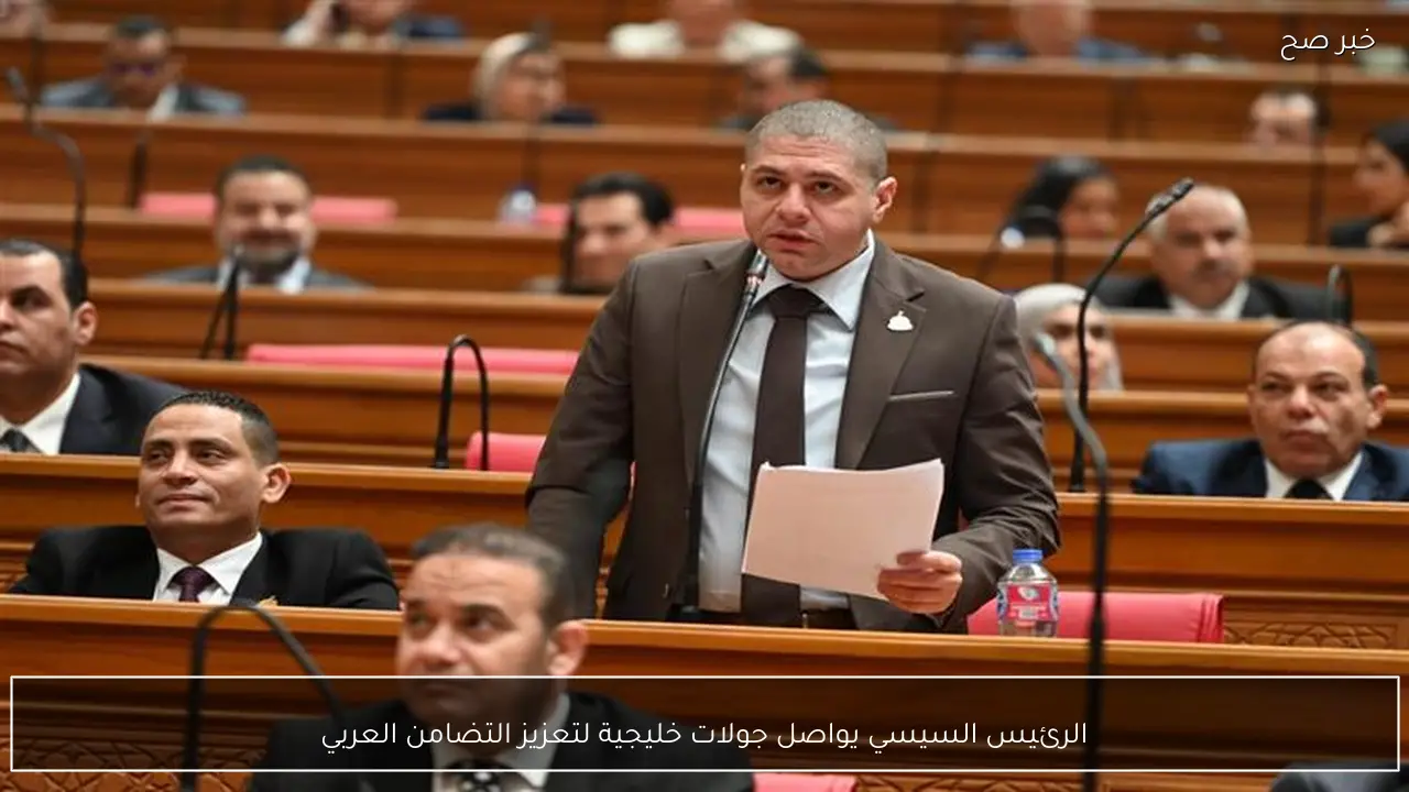 الرئيس السيسي يواصل جولات خليجية لتعزيز التضامن العربي