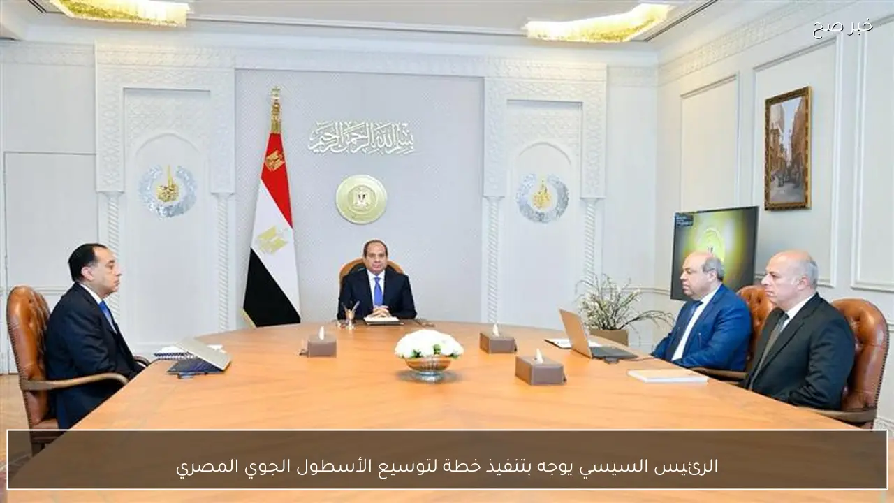 الرئيس السيسي يوجه بتنفيذ خطة لتوسيع الأسطول الجوي المصري