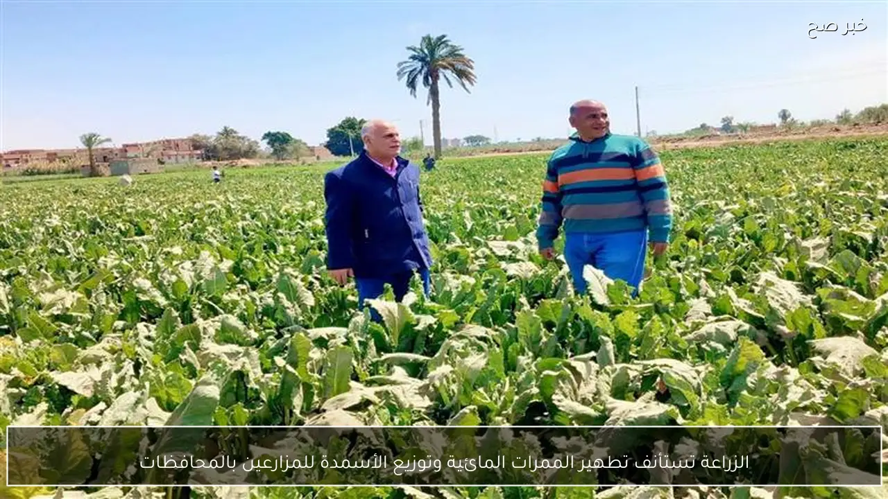 الزراعة تستأنف تطهير الممرات المائية وتوزيع الأسمدة للمزارعين بالمحافظات