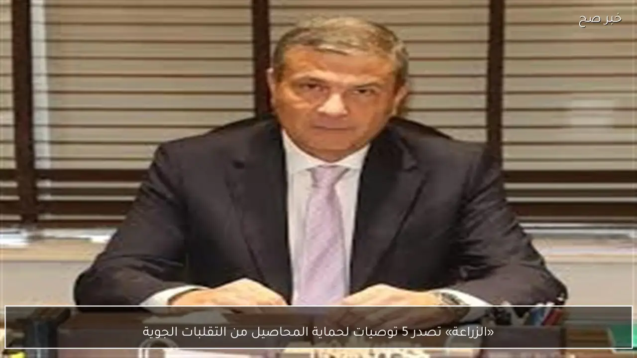 «الزراعة» تصدر 5 توصيات لحماية المحاصيل من التقلبات الجوية