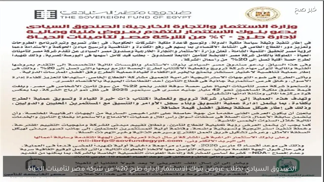 الصندوق السيادي يطلب عروض بنوك الاستثمار لإدارة طرح 20% من شركة مصر لتأمينات الحياة