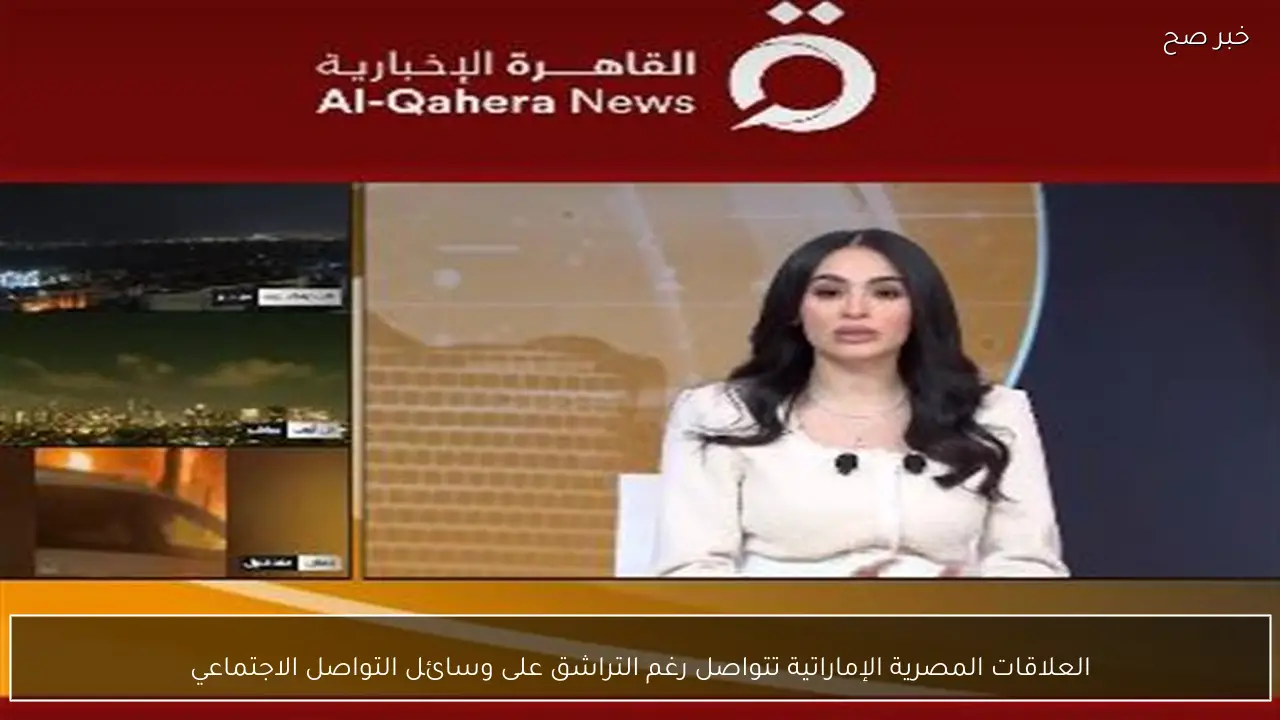 العلاقات المصرية الإماراتية تتواصل رغم التراشق على وسائل التواصل الاجتماعي