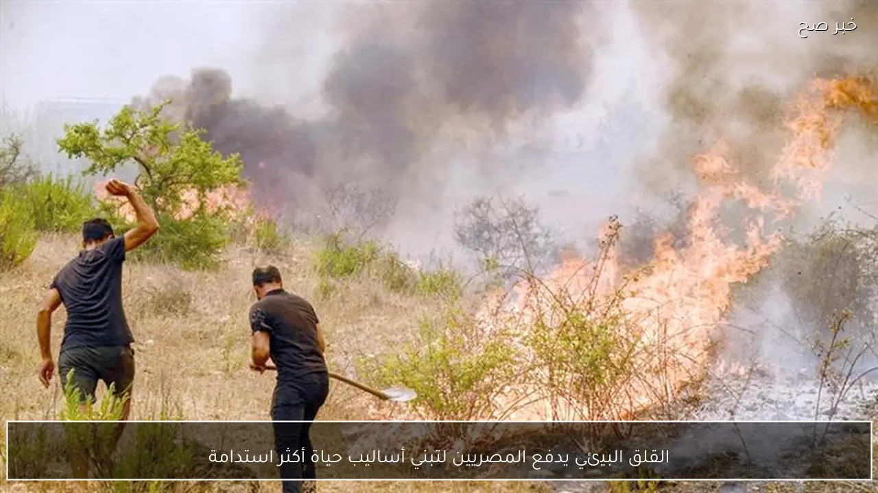 القلق البيئي يدفع المصريين لتبني أساليب حياة أكثر استدامة