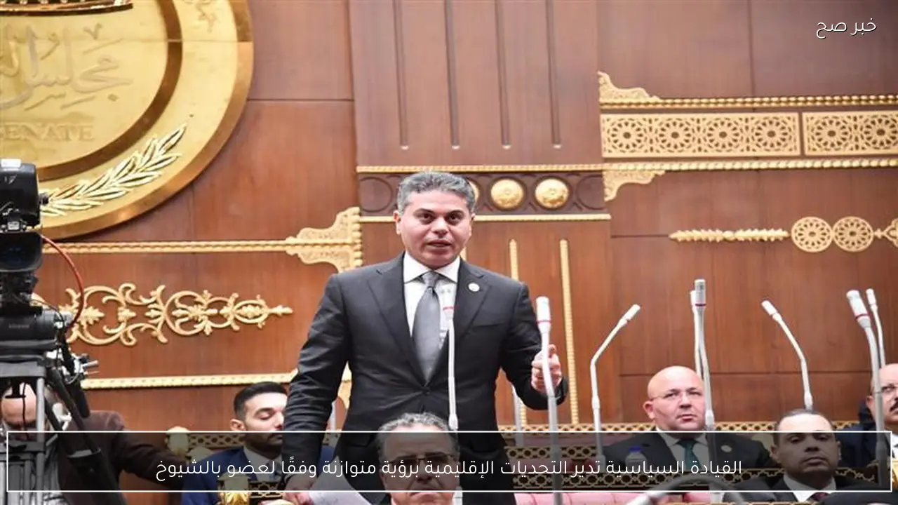 القيادة السياسية تدير التحديات الإقليمية برؤية متوازنة وفقًا لعضو بالشيوخ