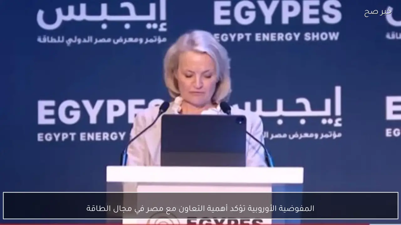 المفوضية الأوروبية تؤكد أهمية التعاون مع مصر في مجال الطاقة