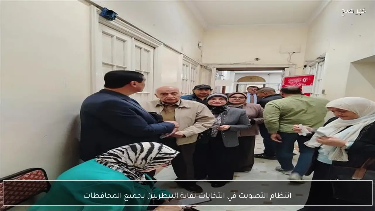 انتظام التصويت في انتخابات نقابة البيطريين بجميع المحافظات