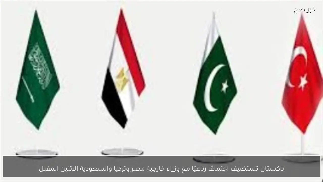 باكستان تستضيف اجتماعًا رباعيًا مع وزراء خارجية مصر وتركيا والسعودية الاثنين المقبل