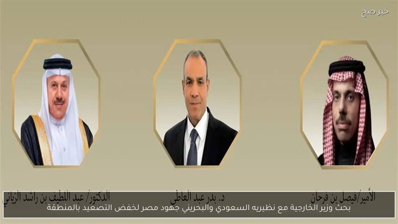 بحث وزير الخارجية مع نظيريه السعودي والبحريني جهود مصر لخفض التصعيد بالمنطقة