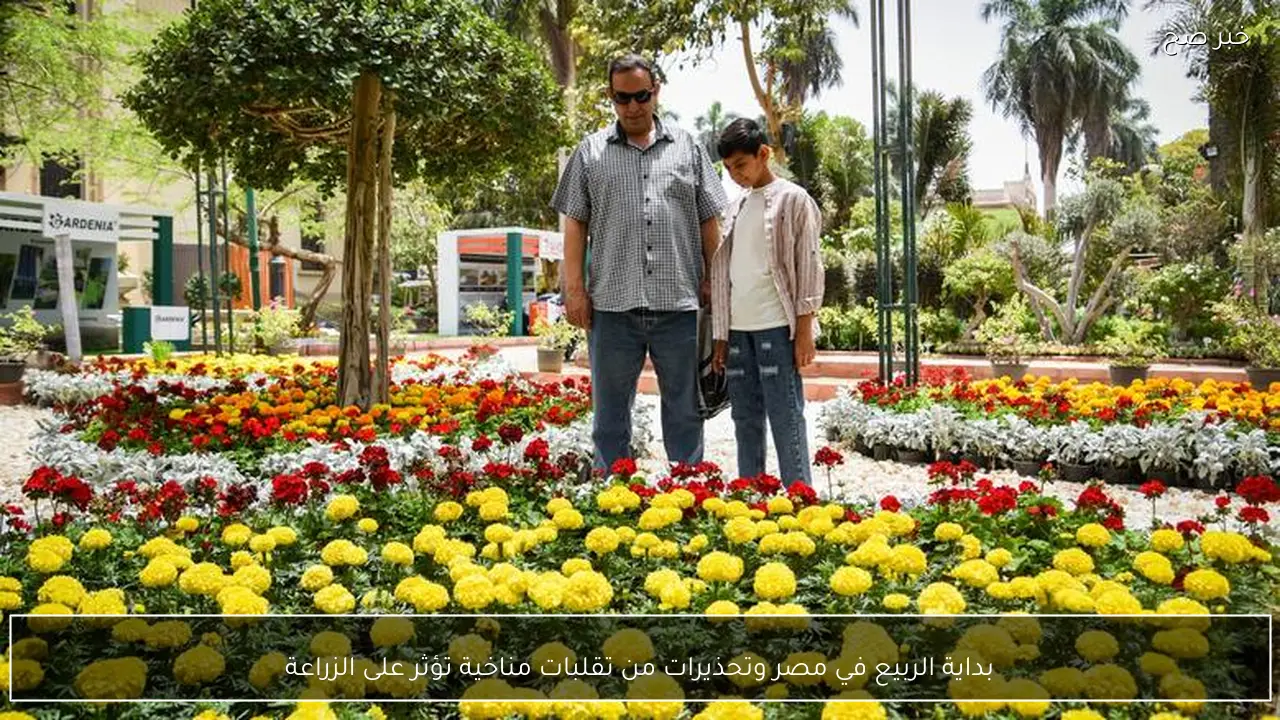 بداية الربيع في مصر وتحذيرات من تقلبات مناخية تؤثر على الزراعة