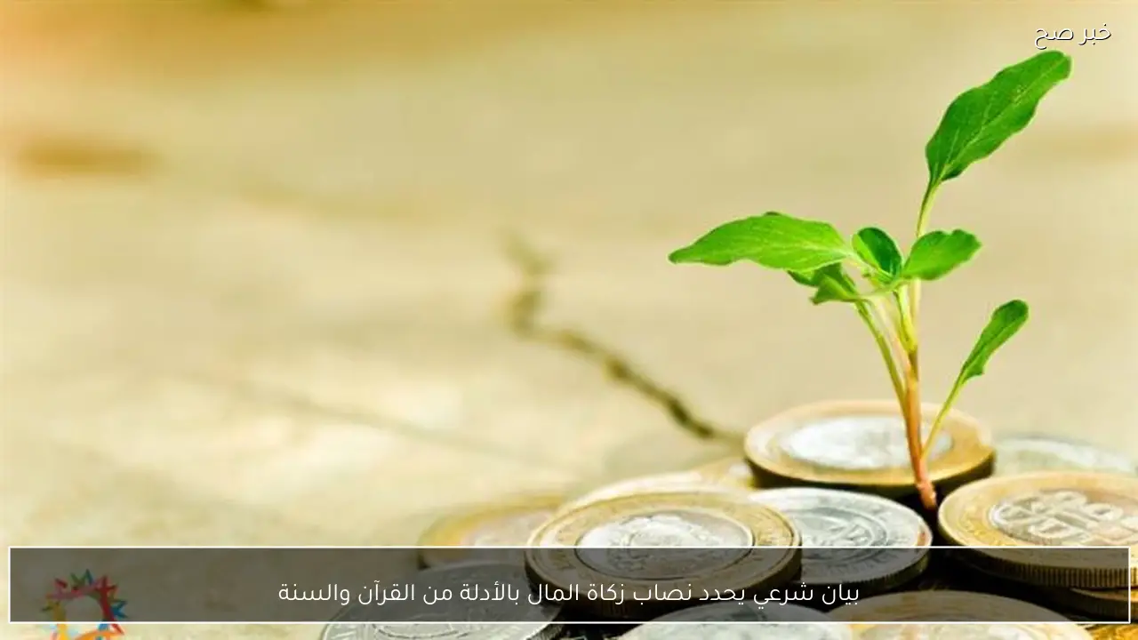 بيان شرعي يحدد نصاب زكاة المال بالأدلة من القرآن والسنة