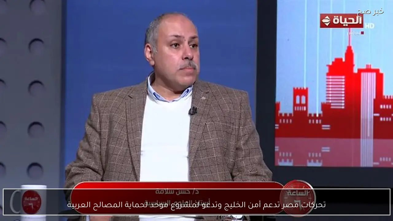 تحركات مصر تدعم أمن الخليج وتدعو لمشروع موحد لحماية المصالح العربية