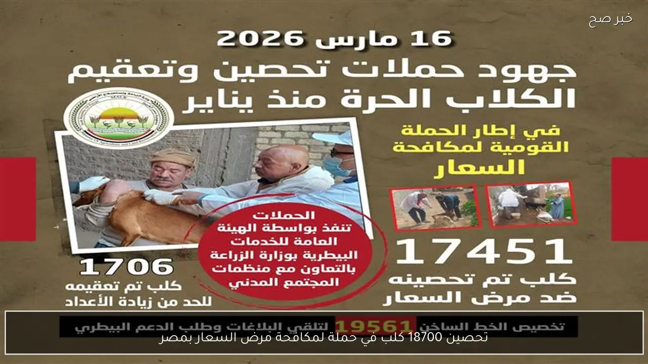 تحصين 18700 كلب في حملة لمكافحة مرض السعار بمصر
