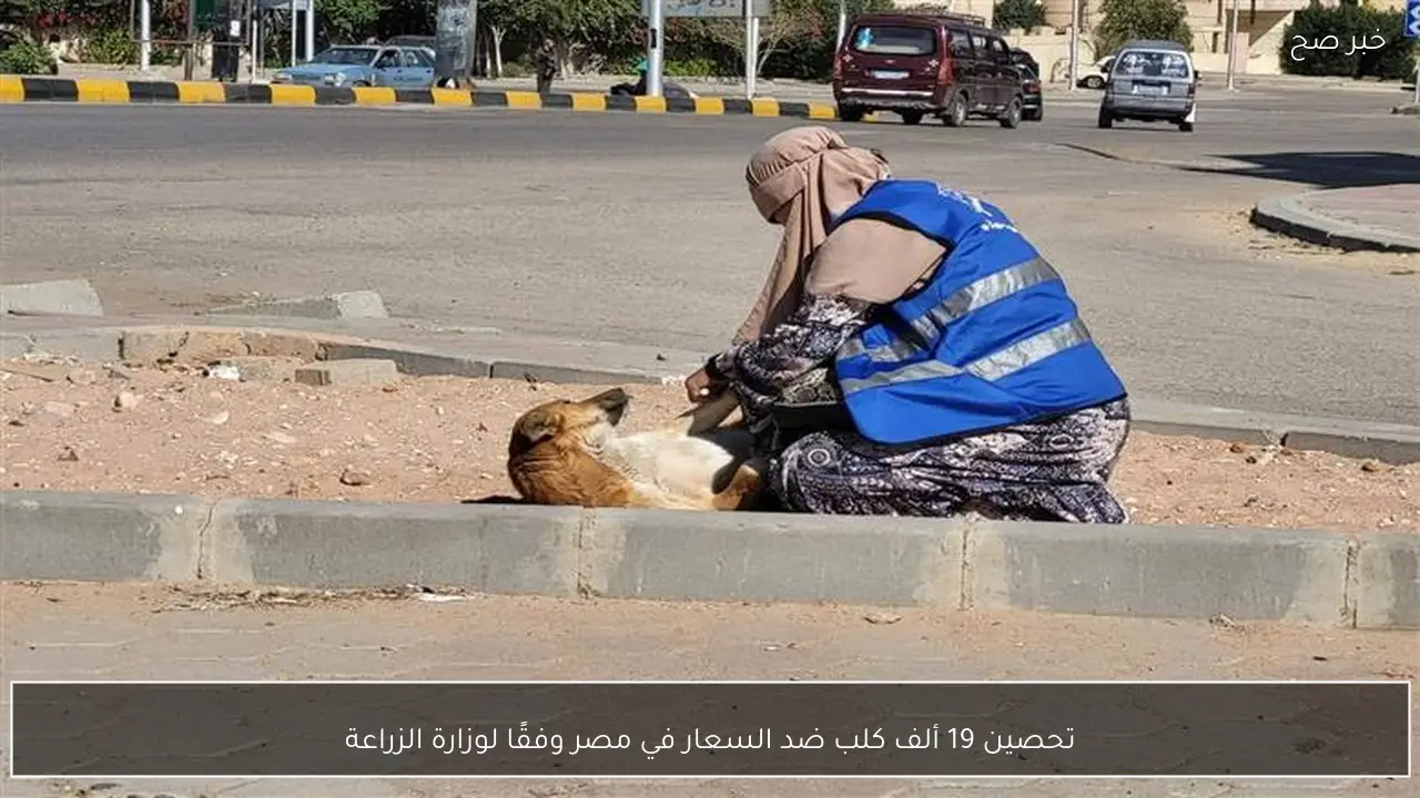 تحصين 19 ألف كلب ضد السعار في مصر وفقًا لوزارة الزراعة