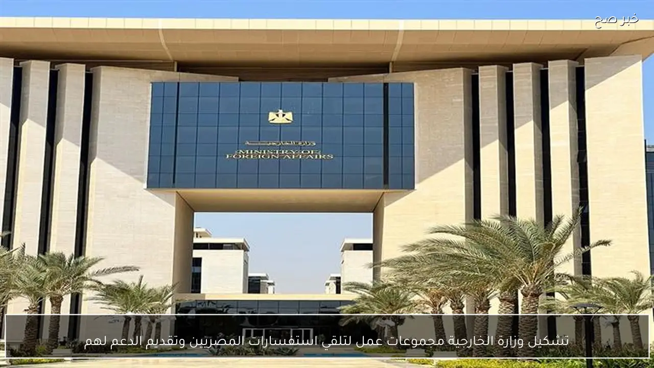 تشكيل وزارة الخارجية مجموعات عمل لتلقي استفسارات المصريين وتقديم الدعم لهم