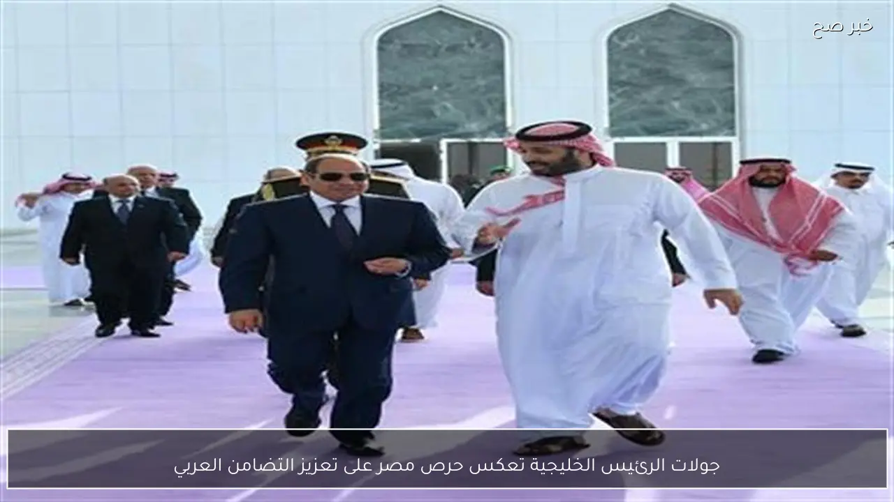 جولات الرئيس الخليجية تعكس حرص مصر على تعزيز التضامن العربي