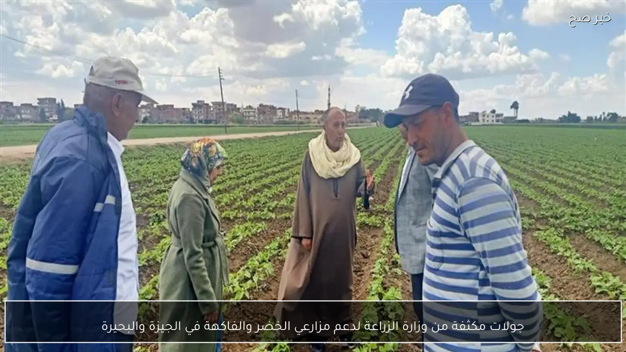 جولات مكثفة من وزارة الزراعة لدعم مزارعي الخضر والفاكهة في الجيزة والبحيرة